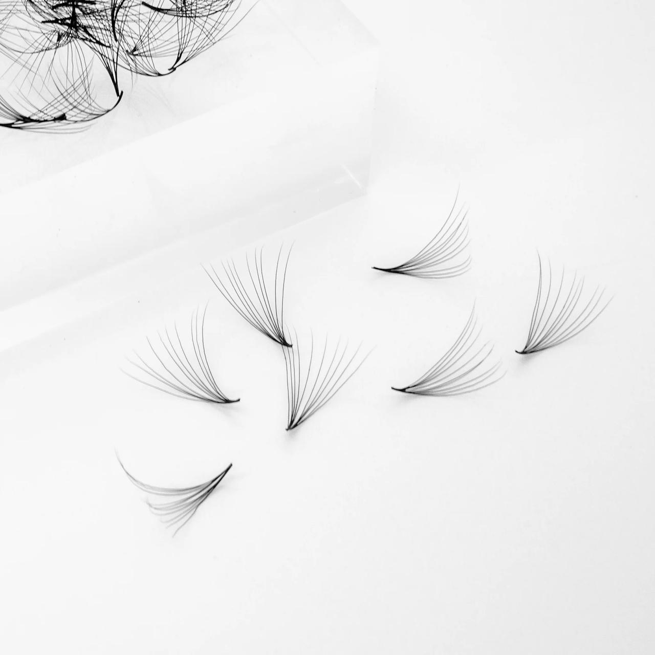 Loose pre - made fans (1000 fans) - Silk Seduction By J