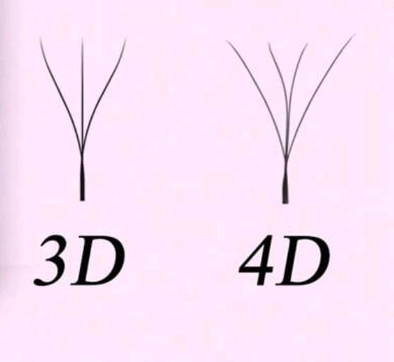 "W" Shaped Lashes (4D)